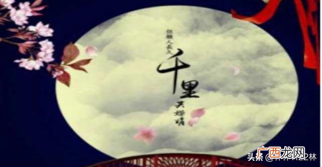 千里共婵娟的婵娟指的是什么,但愿人长久千里共婵娟，其中婵娟指的是什么？