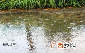 什么的细雨四字词语,细雨如什么成语有哪些？