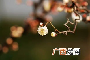 立春和春分的区别是什么,春秋季节有什么区别？