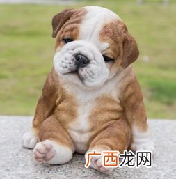 阿崩叫狗民间揭后语,有没有关于震前动物的异常反应的彦语啊!我有急用？