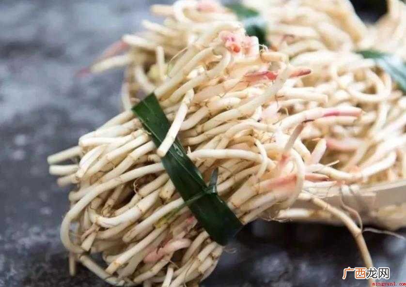 鱼腥草有什么史载