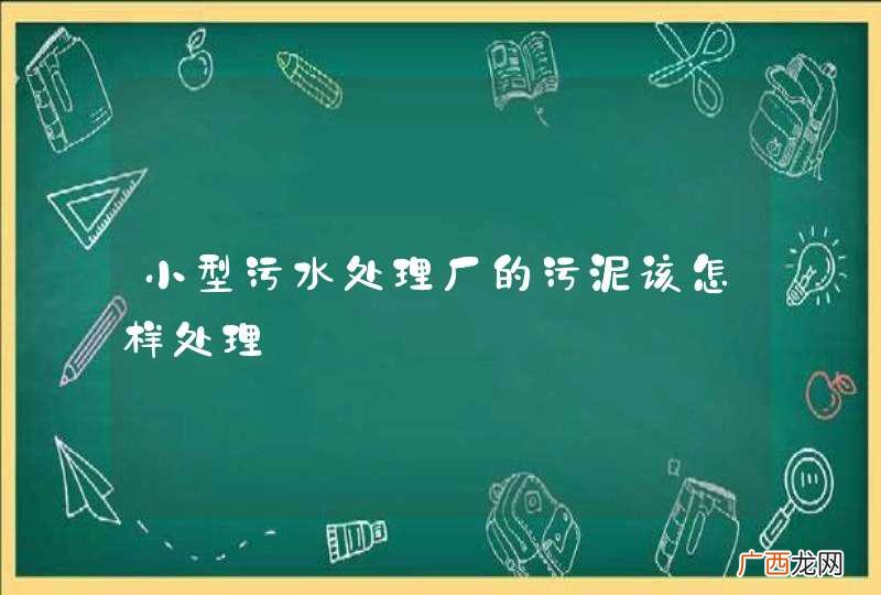 小型污水处理厂的污泥该怎样处理