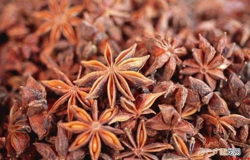 八角茴香形态特征有哪些
