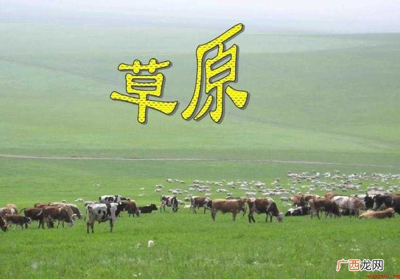 课文《草原》的教学目的是什么