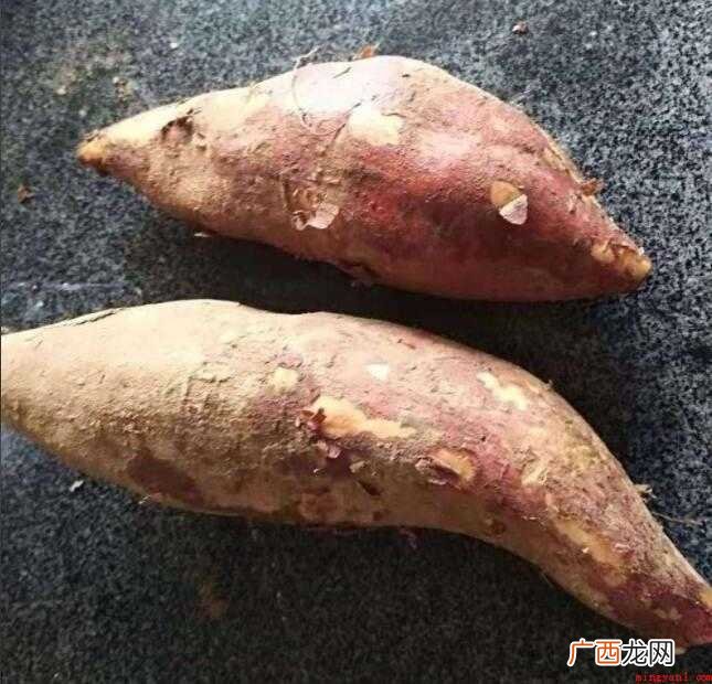 红薯饼如何做