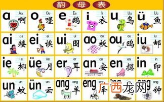 韵母表24个韵母有哪些,韵母24个怎么分？