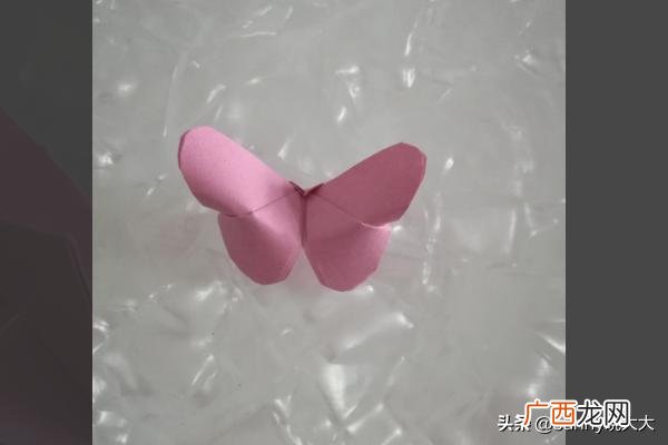 手工蝴蝶怎么做,非常简单又好看的蝴蝶折法？