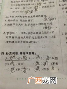 承担的近义词是什么,分享和分担是近义词还是反义词？