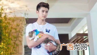 杨幂旗下艺人有哪些,杨幂旗下男艺人?