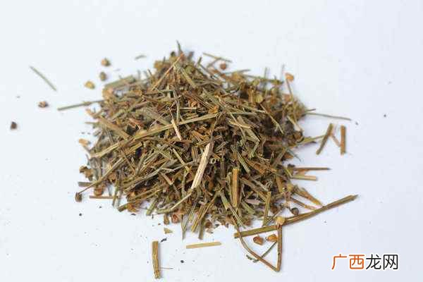 通草泡水可以每天喝吗 通草副作用有哪些