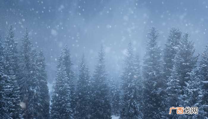 孕妇梦见下雪