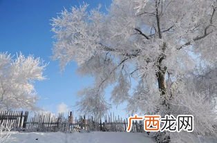 三九天是什么意思,三九天的算法？
