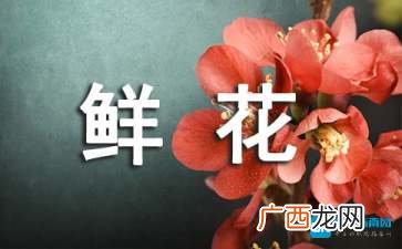 描写鲜花的四字词语,形容“各种花朵娇艳美丽”的词语有哪些？