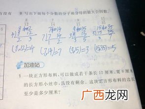 24的因数有哪些,24的因数一共有多少个？