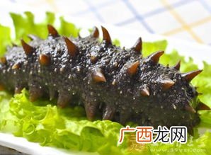 哪里产的海参好,哪里产的海参最好？