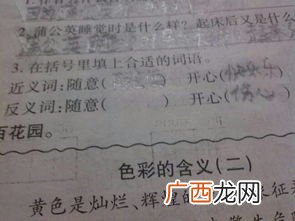 恨的反义词是什么,恨的反义词是什么呢？