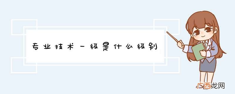 专业技术一级是什么级别