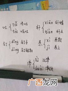 率的多音字组词,“率”字有几个音？怎么念？