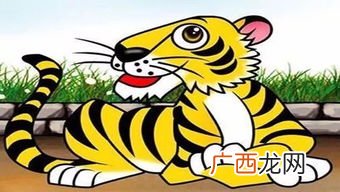 62年属什么生肖,1962年是壬子年吗？