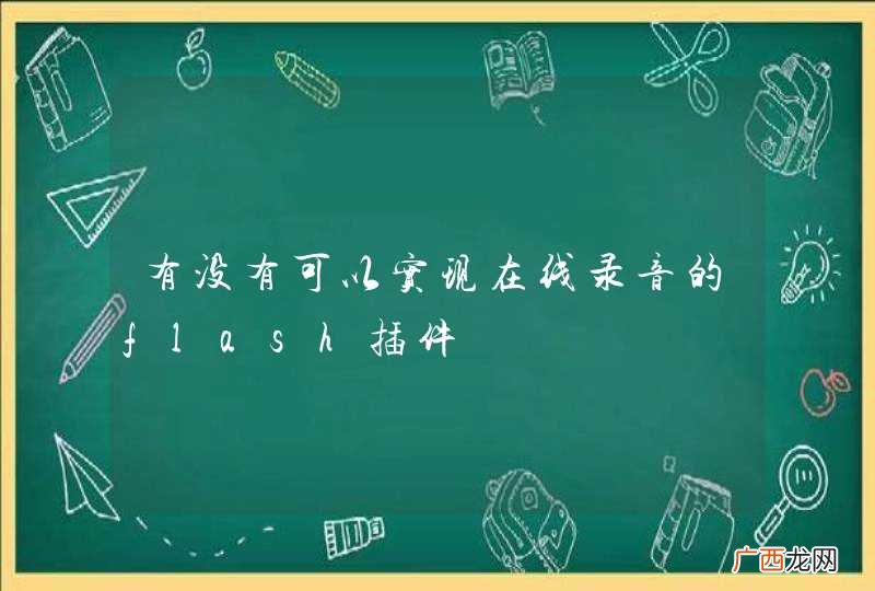 有没有可以实现在线录音的flash插件
