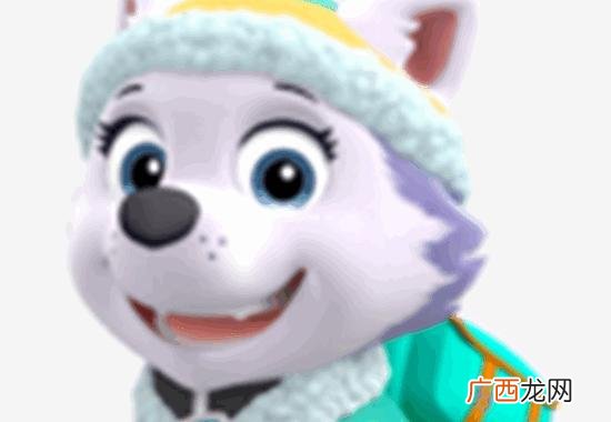 汪汪队人物介绍,汪汪队立大功里的人物？
