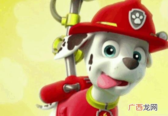 汪汪队人物介绍,汪汪队立大功里的人物？