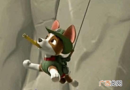 汪汪队人物介绍,汪汪队立大功里的人物？