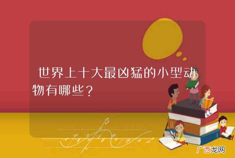 世界上十大最凶猛的小型动物有哪些？