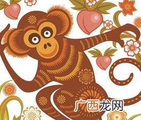 属猴一生命运如何,0几年属猴？