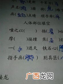 词语填空什么的动物,什么的老虎填合适的词语？