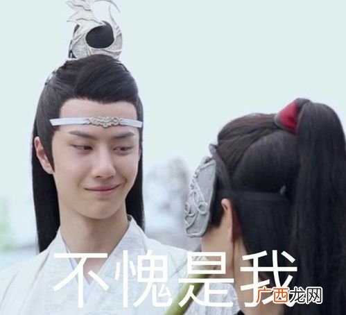 不愧是什么意思,不愧本心什么意思？