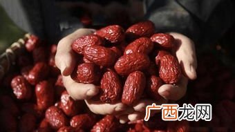中国最好的红枣产地是哪里,国内最大最好的枣树品种？