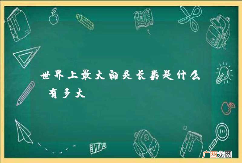 世界上最大的灵长类是什么，有多大？