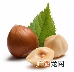 四大坚果是哪四大坚果,坚果是什么品种的树？
