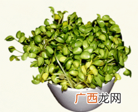 绿色的豆芽叫什么,绿色的小豆子是什么菜？