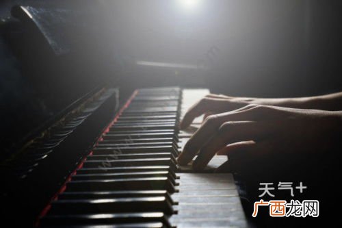 钢琴诗人之称是谁?,被誉为钢琴诗人的人是谁？