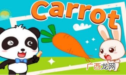 carrot的复数,胡萝卜英文怎么读？