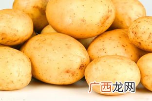洋芋和土豆的区别是什么,怎么区分脆的土豆还是粉的土豆？