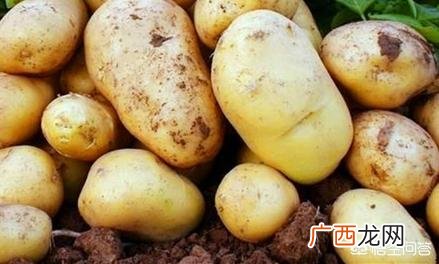 洋芋和土豆的区别是什么,怎么区分脆的土豆还是粉的土豆？