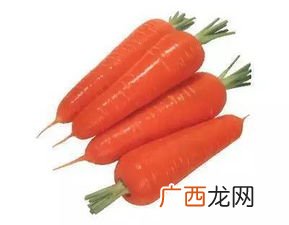 胡萝卜是萝卜吗,红萝卜和胡萝卜是指的同一种萝卜吗？