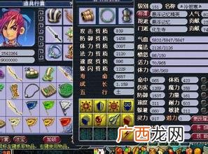 梦幻西游人物飞升要求什么,梦幻西游最佳飞升方案？