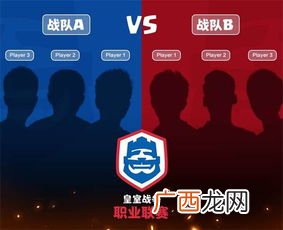 bo3双败赛制什么意思,bo3赛制是什么意思？