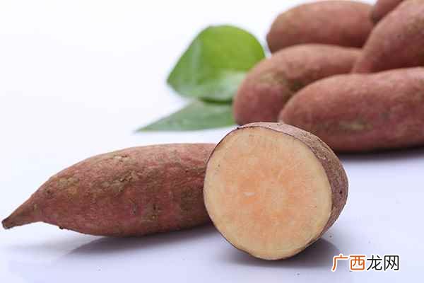 这5种食物没煮熟比毒药还毒要小心了