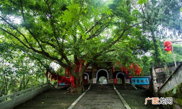 陈子昂代表作介绍,遂宁适合年轻人玩的地方？