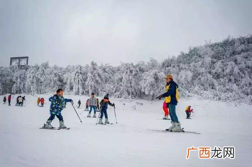 上海滑雪场有哪些,上海冰雪之星雪道长度？