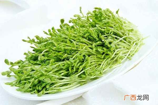 什么食物补肝最好最快