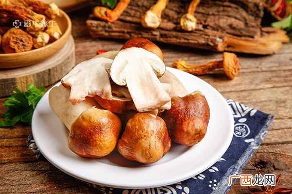 松茸怎么吃松茸的吃法