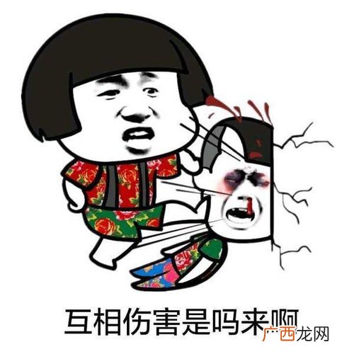 互怼是什么意思,“怼”这个字怎么念，什么意思？