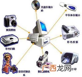 常见的输出设备有哪些,保持微型计算机正常运行必不可少的输入设备是鼠标，输出设备是什么？