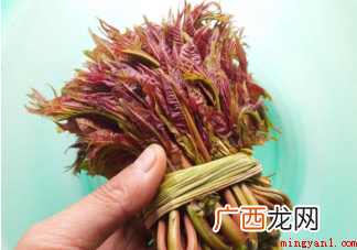 蚂蚁庄园雨前椿芽嫩如丝说的是哪个节气上市的香椿特别鲜嫩